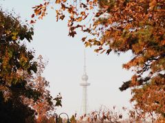 -八大关景区
