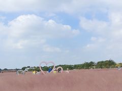 -嘉北郊野公园