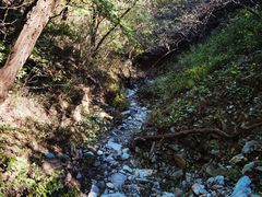 -北京西山国家森林公园