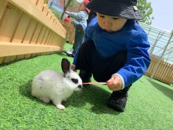 -萌宠亲子动物乐园(槐房万达店)