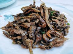-黄牛肉馆·皖南土菜