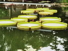 -国家植物园南园