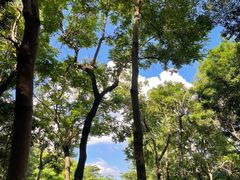 -深圳国际园林花卉博览园