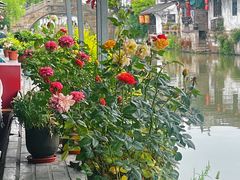 -唔呶喔哩酒家(生产街店)