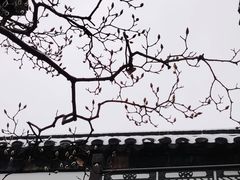 -何园