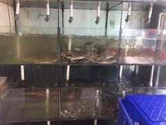 -天天渔港海鲜酒家(石浦玉泉路店)