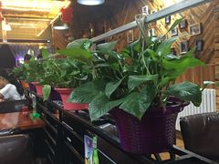 大堂-东顺全羊坊烧烤炒菜莜面(张北店)