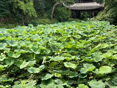 -三苏祠