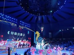 -中国马镇舞马世界主题乐园