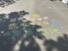 -八大关景区