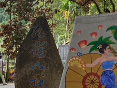 -西双版纳原始森林公园