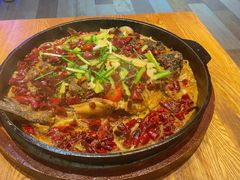 -老板恋上鱼(高新万达店)