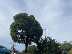 -苏州湾梦幻水世界