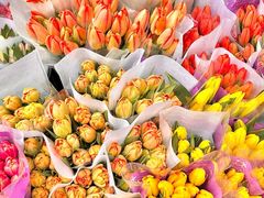 -循礼门鲜花花市(武汉循礼门店)