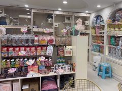 -当汪遇见喵宠物店