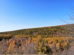 -塞罕坝国家级自然保护区