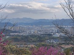 -天台山赤城山景区