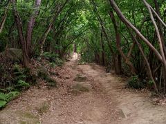 -采石矶景区