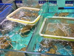 -拉完海鲜大排档(温岭店)