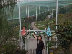 -白鹿原影视城