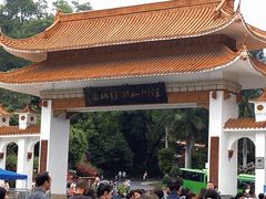 -深圳仙湖植物园-停车场