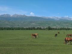 -新疆那拉提国家旅游度假区