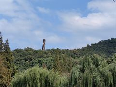 -上海佘山国家森林公园天马山园