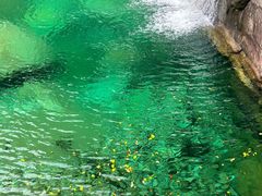 -黄山翡翠谷景区