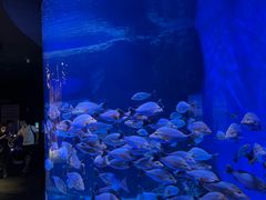 -成都浩海立方海洋公园