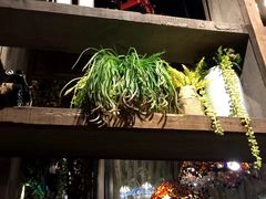 -春天里·老街坊餐厅(港隆广场店)