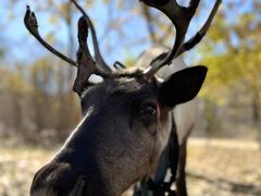 -安德鲁户外烧烤帐篷营地(马泉营店)