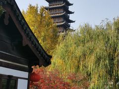 -常熟方塔园