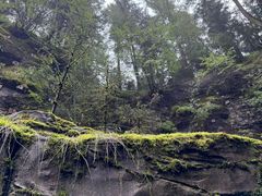 -芦芽山旅游度假区