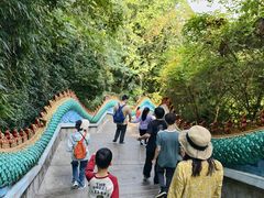 -西双版纳勐泐文化旅游区