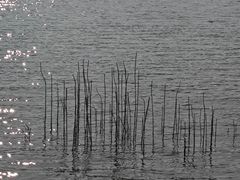 -浙西天池景区