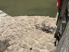 -湖洞水自然风景区