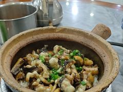 -红星光发煲仔饭(大石街店)