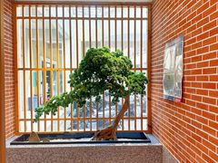 -囍榷·和宴餐厅(恐龙园店)