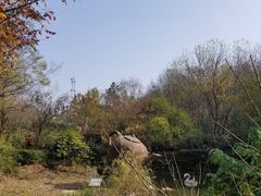 -南京市江宁方山