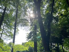 -杭州植物园