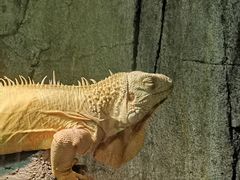 -济南野生动物世界