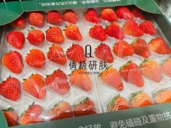 -倩极·精研痘敏肌管理