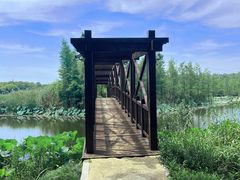 -同里国家湿地公园