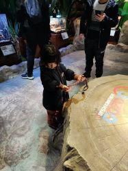 -酷嗒动物文化乐园(cutezoo西溪乐天城店)