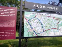 -盐城丹顶鹤湿地生态旅游区