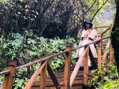 -青峰峡国家森林公园