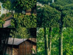 -赤水丹霞旅游区·佛光岩