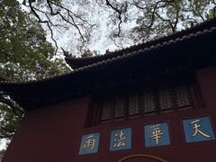 -普陀山风景名胜区-法雨禅寺