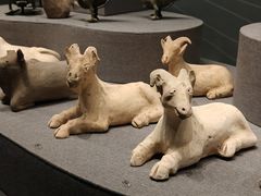 -广西壮族自治区博物馆