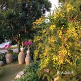 广西边境六天五夜自驾游（2）：第一天，南宁集结。